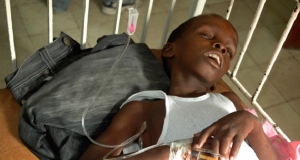  Несколько важных фактов о холере