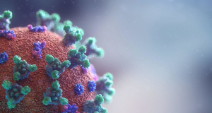 Ученые обнаружили связь между коронавирусом и риском развития нейродегеративных заболеваний