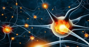 Do nerve cells regenerate?