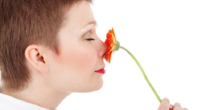 In what diseases does sense of smell disappear?