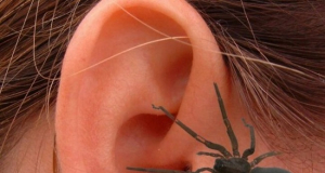 Как безопасно извлечь насекомое из уха?
