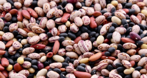 Why should you eat beans ever day?
