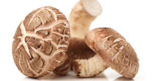 Какие грибы снижают риск развития рака?