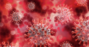 ВОЗ: Число случаев заболевания коронавирусом в мире сократилось на 24%, однако число смертельных случаев увеличилось в Азии