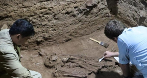 Ученые обнаружили древнейшее в мире свидетельство ампутации конечности