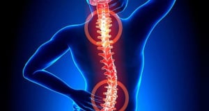 Researchers discover way to repair damaged fibers in spine
