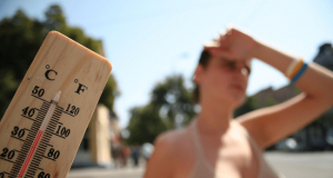 Scientists find out how heat stress affects kidney function