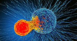 Ученые выяснили, как раковые опухоли захватывают здоровые клетки