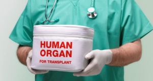 В дни масштабных мотопробегов резко возрастает число доноров органов