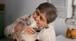 Pets may slow age-related cognitive decline in those living alone
