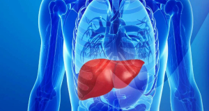 Liver may produce acid needed to maintain brain health - study