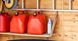 ALSFTD: хранение химикатов в гараже повышает риск развития склероза