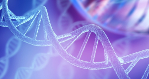 Исследователи расшифровали ген, связанный с аутизмом и эпилепсией