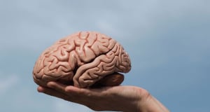 Կետային մուտացիան պատասխանատու է ուղեղային թաղանթների բորբոքման համար. iScience