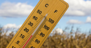 Ջերմաստիճանի բարձրացումը սրում է դեմենցիան եւ բարձրացնում ինսուլտի հավանականությունը. The Lancet