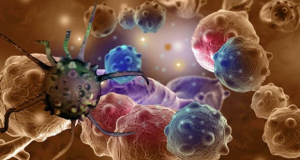 Ученые выяснили, как раковые клетки эксплуатируют иммунную систему