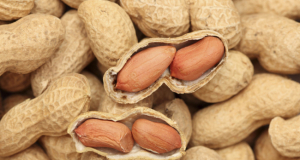 NEJM: Regular peanut consumption can reduce the risk of peanut allergy by 81%