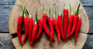 Can eating chili peppers increase obesity risk?