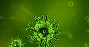 Ученые разработали моноклональное антитело для борьбы со смертельно опасным вирусом Нипах