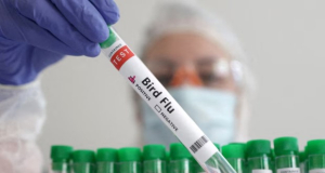 США выделили компании Нубара Афеяна $176 млн на создание вакцины от птичьего гриппа