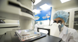 Scientists develop a “Trojan horse” therapy to treat several types of cancerous tumors
