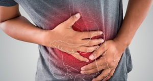 Western diets increase the risk of inflammatory bowel disease and colorectal cancer - a review
