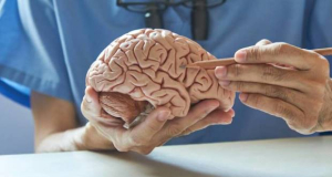 The Proceedings of the National Academy of Sciences: DDL-920 molecule restores memory in Alzheimer's disease
