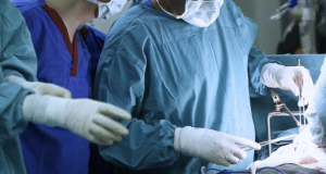 Germany scientists create new transporter for donor hearts’ transport