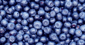 Food Innovation and Advances: Anthocyanin in blueberries improves barrier function of intestinal mucosa, study suggests
