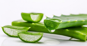 EatingWell: aloe vera tea can cause blood sugar to drop dramatically