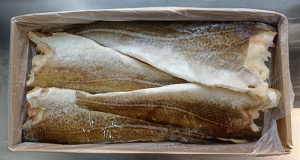 Daily Mail: Cod, halibut reduce likelihood of tinnitus, study finds