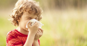 Air pollution linked to having peanut allergy during childhood, study finds