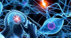Molecular Psychiatry: Multiple sclerosis drug may help with poor working memory, new study shows