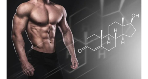 How testosterone level affects sex? Main masculinity myth dispelled
