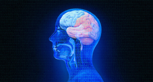 Journal of Controlled Release: Method created for delivering medical drugs to human brain more actively, precisely