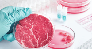 Artificial meat may increase likelihood of depression, study finds