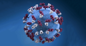 Armen Muradyan: How to prevent human metapneumovirus (HMPV) infection?