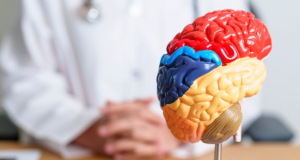 Journal of Translational Medicine: Epilepsy has detrimental effect on brain health and function, study finds