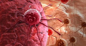 How cancer cells trick immune system
