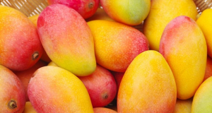 Nutrients: Fresh mango fruit may help lower insulin concentrations and improve insulin sensitivity in obese adults