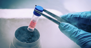 Engineering: hydrogels and stem cells can regenerate nerve fibers

