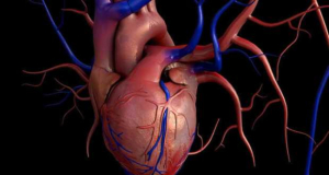 Scientists develop revolutionary method that uses MRI to determine ‘true age’ of the heart