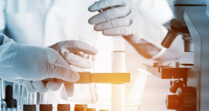 Molecular Cancer: Diabetes drug shows promising results in prostate cancer treatment