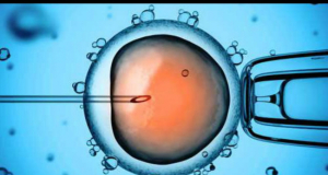 Sperm from donor with rare mutation used to conceive 67 children: 10 diagnosed with cancer