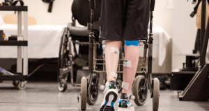 Paralyzed limbs to be able to move again: What helped researchers achieve such breakthrough?