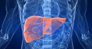 Physical pressure escalates liver cancer aggression, researchers say