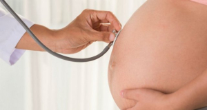 Nature: obesity in pregnancy alters fetal liver immune cells