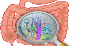 Intestinal infectious diseases become active in summer, doctors explain how to fight them