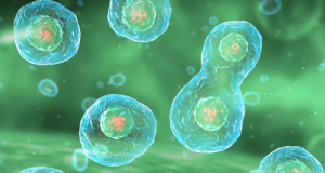 CanDis: AI Tool Discovers Five Types of Cancer Cells in a Single Tumor