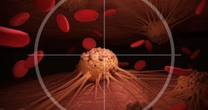 EMBO: Activation of the p53 protein encourages the body to fight cancer